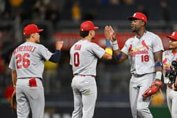 Which Cardinals prospect has the most to gain after ...