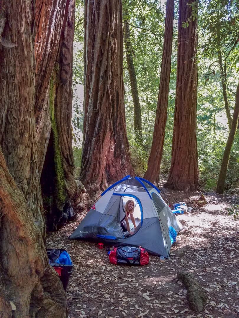 Pescadero, CA - Top Campgrounds & Coastal Camping Sites