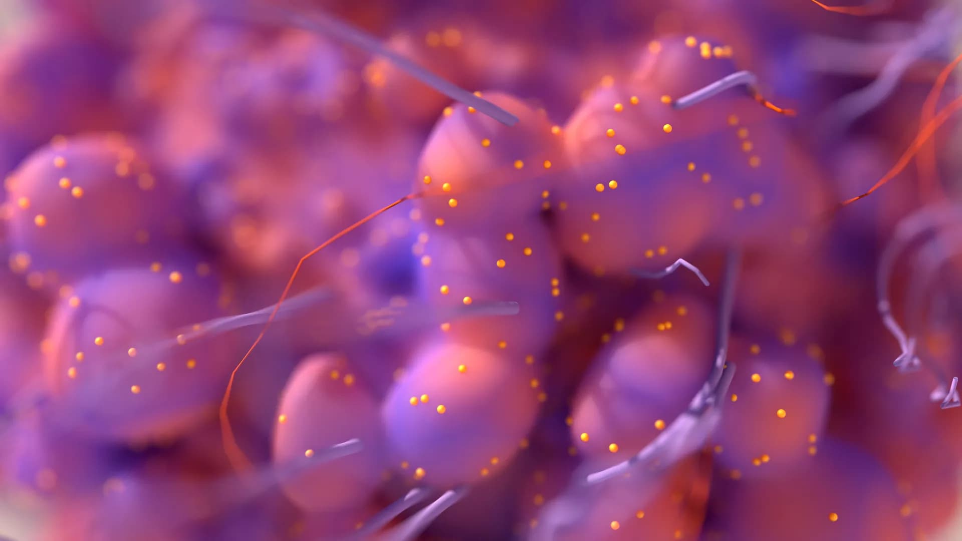 Assessing the impact of phosphodiesterase 5 inhibitors on ...