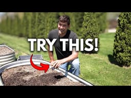 Grow TONS of Potatoes - No Fuss Tips for Success