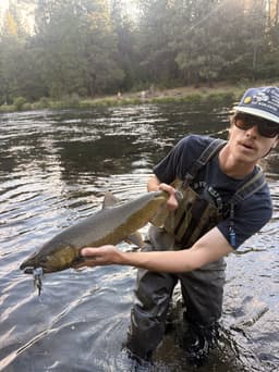 Jeff's Fishing Report 8/22/26