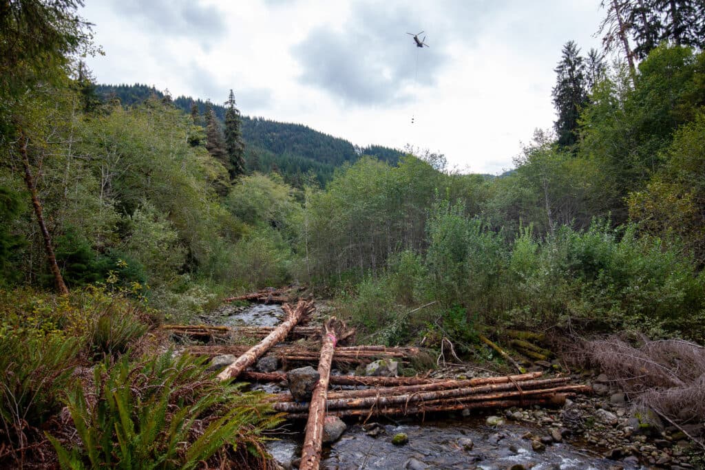 Restoring Owl Creek | Kʷokʷolísdo Ḳ̓á Yika Xa'bil-ts