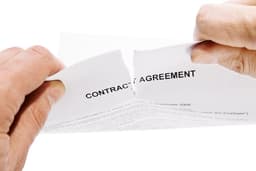 MPs urge government to cancel Palantir/NHS contract