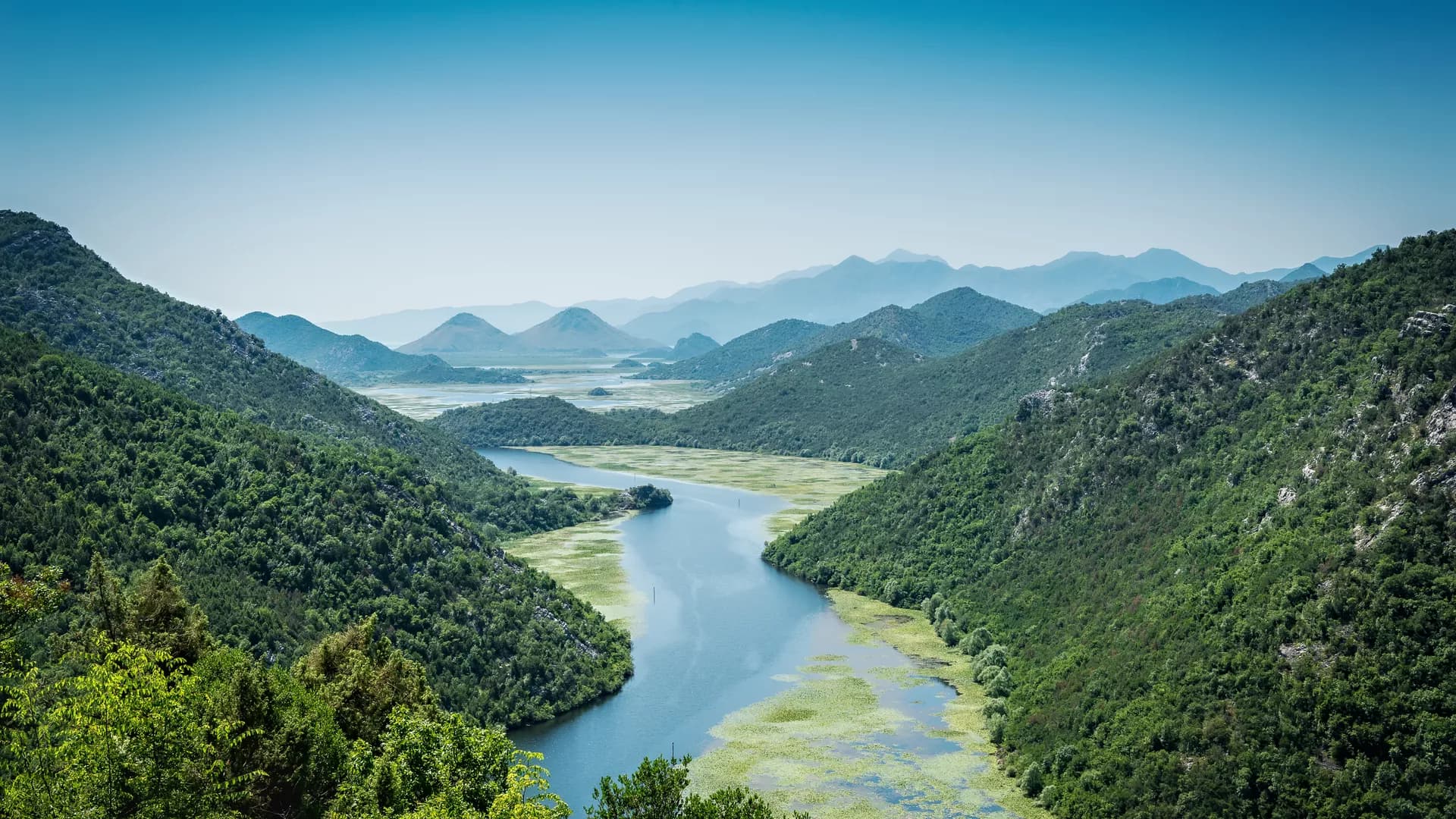 Can artificial intelligence be the answer to green development ...