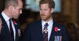 Prince Harry's Diana Documentary Is Prince William's ...