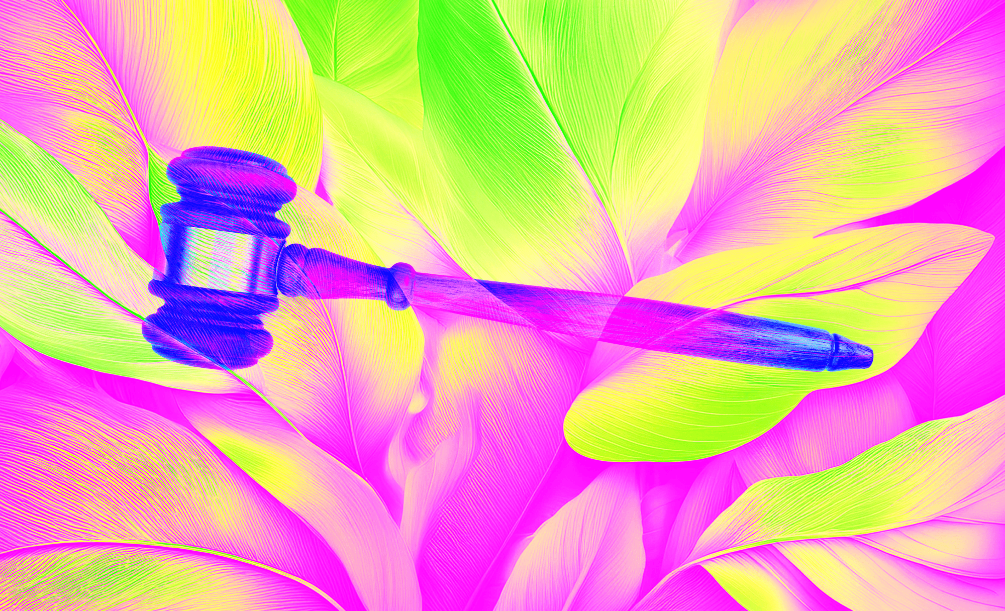 Despite federal rollbacks, states push forward on climate policies