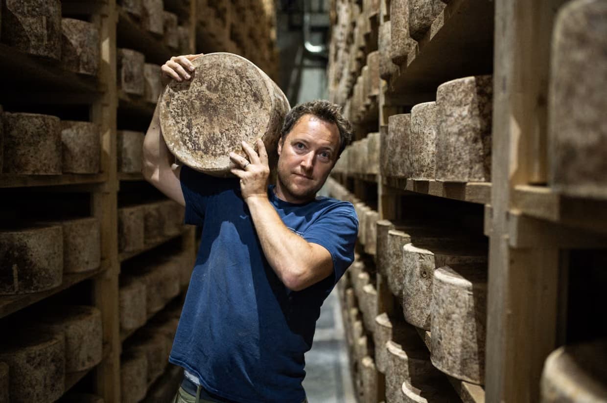 British Cheddar Producer Restores Pasture Diversity