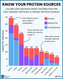 Know Your Macros | How Protein, Carbs, and Fats ...