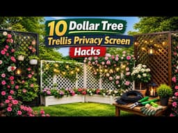10 Dollar Tree DIY Privacy Screen Hacks That Transformed My Backyard🌄🏡