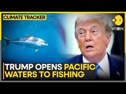 Trump Opens Protected Pacific Waters To Commercial Fishing | WION Climate Tracker