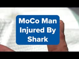 Montgomery Co. man injured in shark encounter