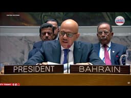 "Pure Blood Spilled": Bahrain Minister’s Emotional Plea to UN Security Council