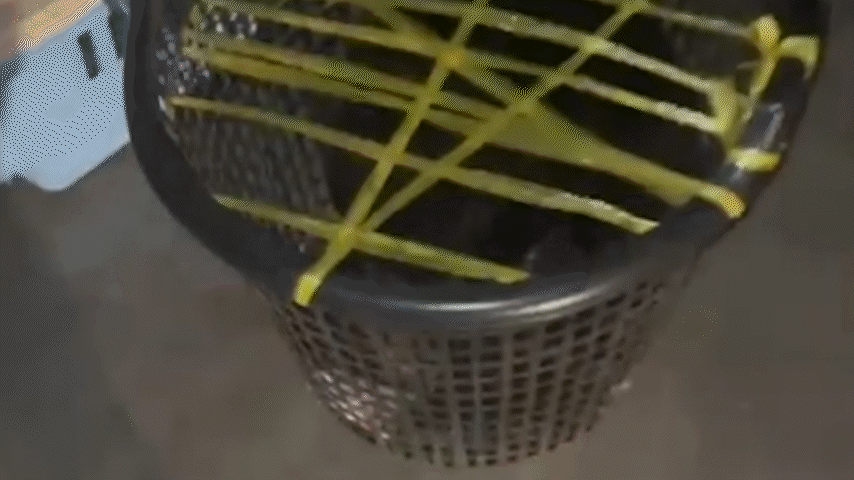 Two Moon Bear Cubs Being Sold on Facebook Rescued by Wildlife Group