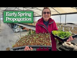 5 Popular Perennials You Can Propagate Now! (Early Spring Prop)
