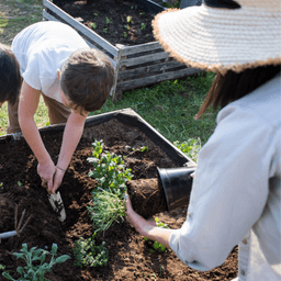 How to Keep Your Garden Thriving in Summer Heat