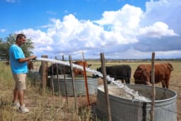 Heaven sent: Dry wells in rural Arizona force residents to ...