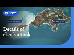 Deadly shark attack victim off WA’s Rottnest Island was experienced spearfisherman | ABC NEWS