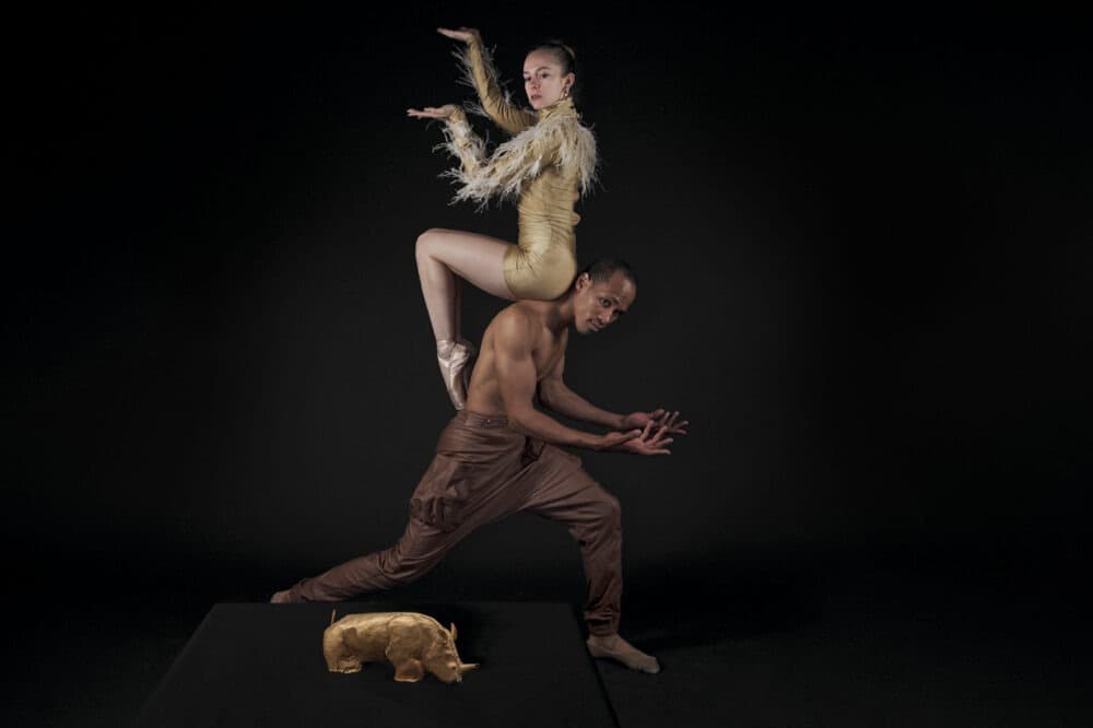 Ballet Review: The Gold Rhino Of Mapangubwe Ballet