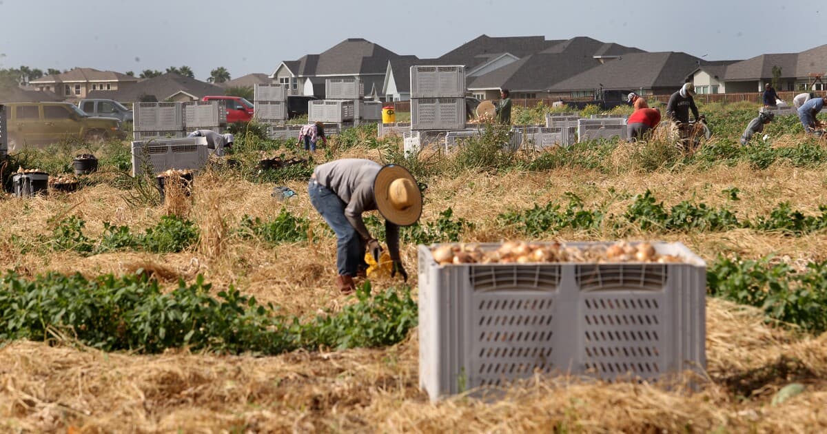 Parkinson’s disease is consistently linked to pesticide exposure. Farmworkers — and nearby communities — are at risk in Texas’ Rio Grande Valley.