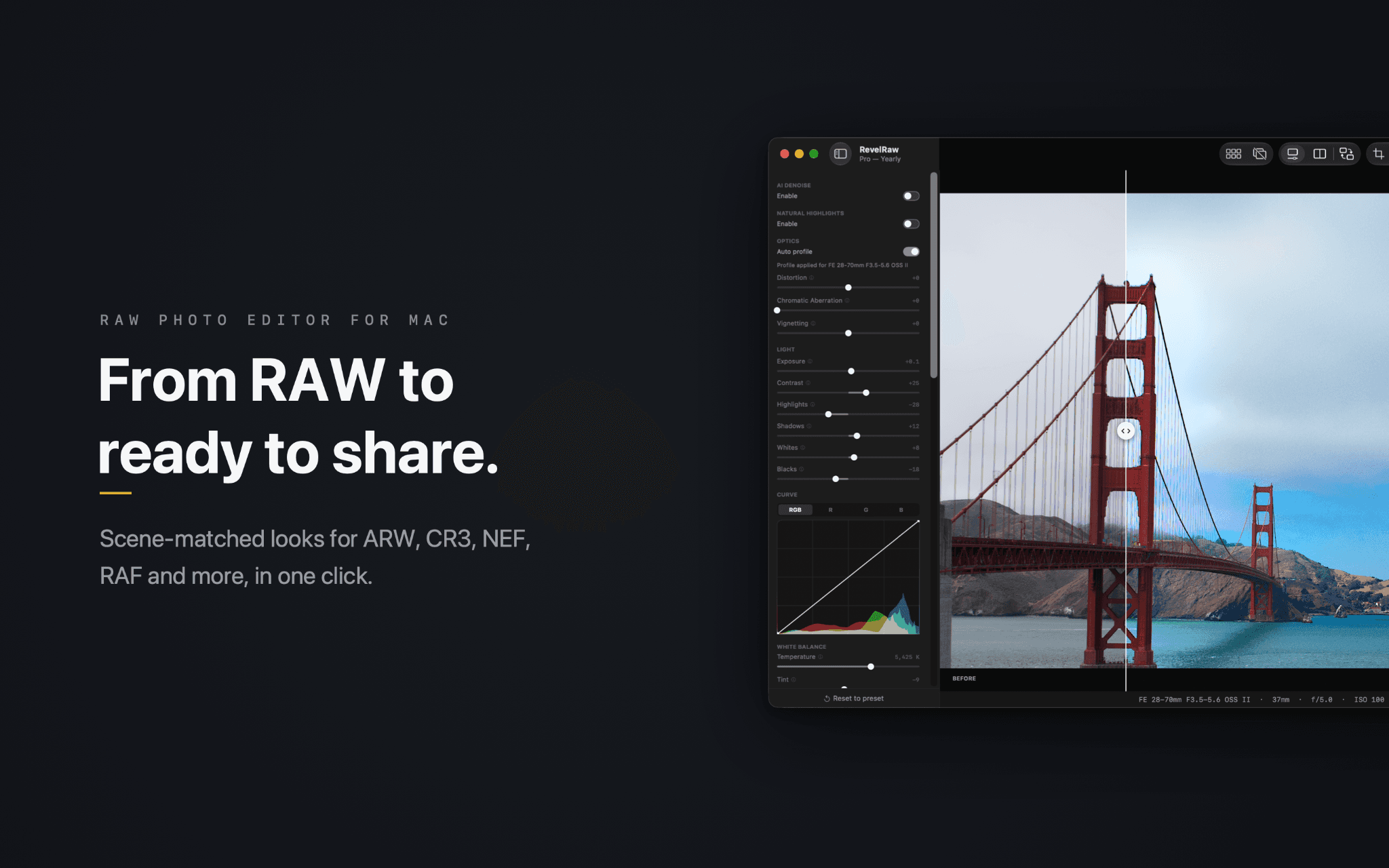 RevelRaw Review 2026: Features, Pricing and Alternatives