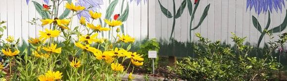 🌿 Explore UF/IFAS Demonstration Gardens Across Florida