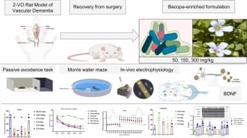 Bacopa-Enriched Formulation Enhances Memory and ...