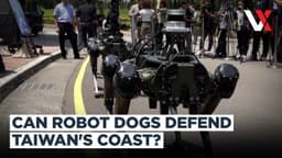 Taiwan Unveils Armed Robot Dogs As China Tensions Drive ...