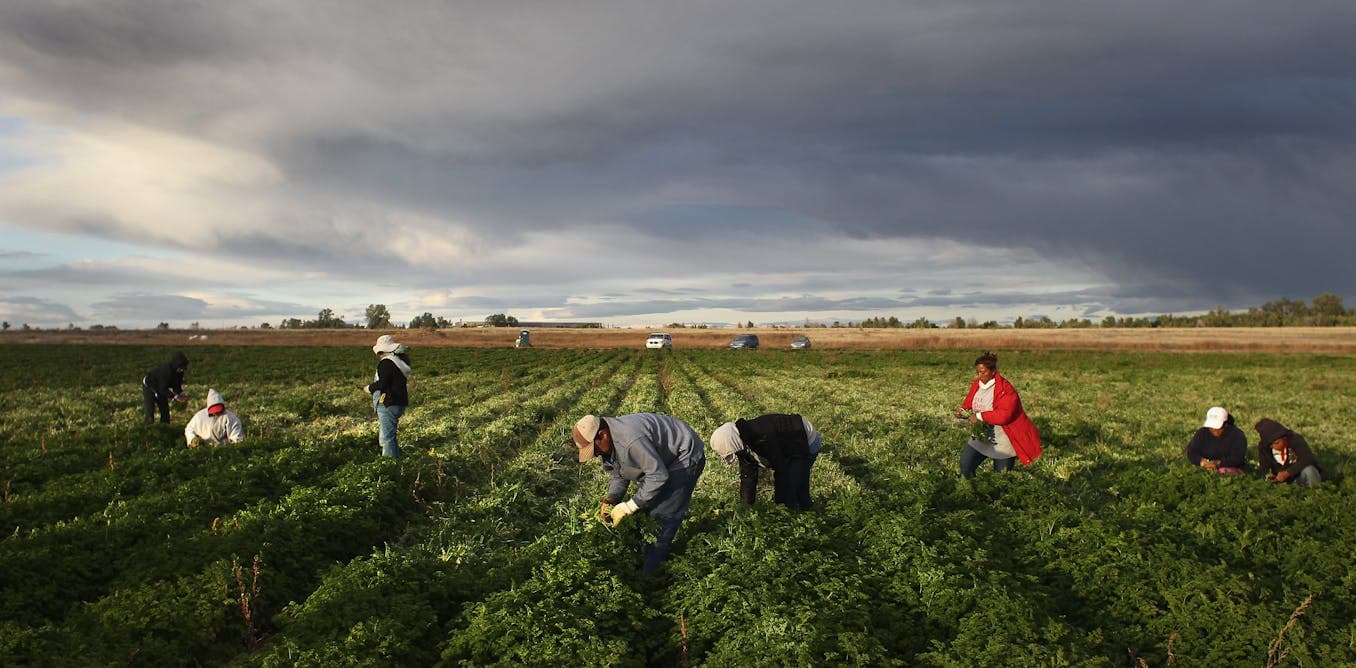 From the San Luis Valley to Vail, Latino labor powers every sector of Colorado’s economy
