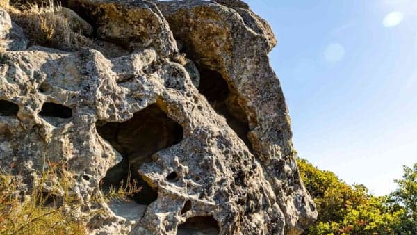 Hike Castle Rock: 8.6mi, 1.7kFtElevGain, Moderate Difficulty