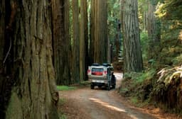 The Best Off-Grid Camping Destinations in the American ...