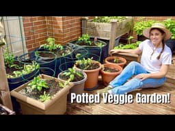 Planting A Vegetable Garden All In Containers! Best Performing Plants + Pot Sizes 🪴