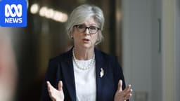 Helen Haines loses leg after attack outside electorate office