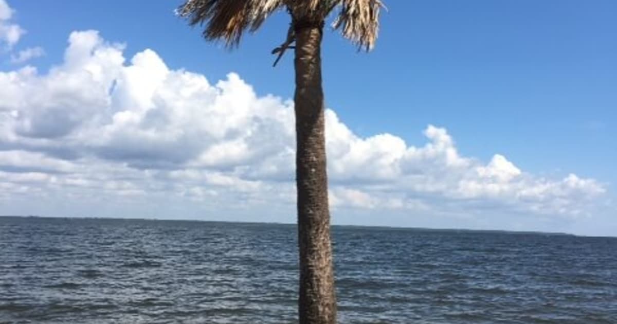 Proposal to ban local governments from promoting ‘net-zero’ emission policies moves to House | News From The States