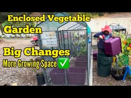 Enclosed Outdoor Vegetable Garden Upgrade for More Food Growing Space in Dog Kennel 