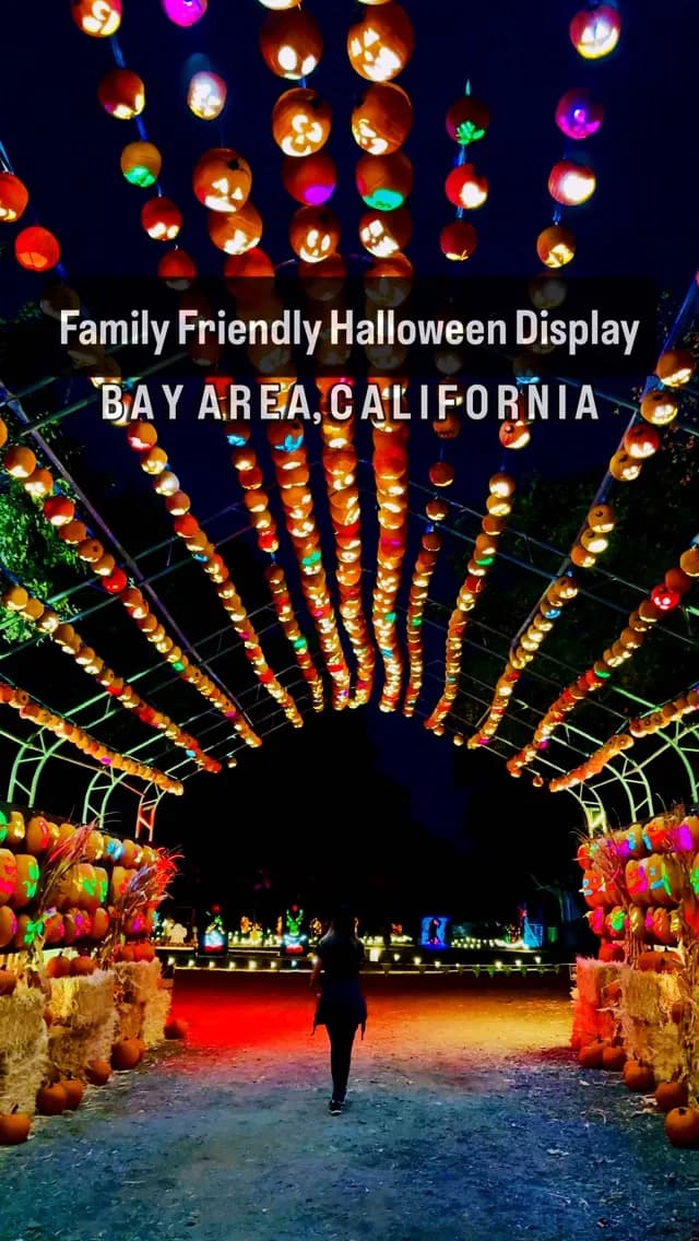 Pumpkins After Dark in San Francisco