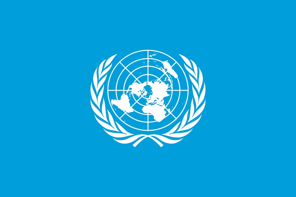UNHCR publishes detailed observations raising concerns over the ...
