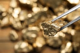 TRX Gold: Self-Funded Growth Beyond The Gold Rally (NYSE:TRX) | Seeking Alpha