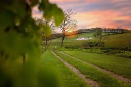 Community Family Recovery Event - Visit Indiana ...