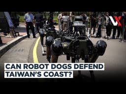 Taiwan Unveils Armed Robot Dogs As China Tensions Drive Defence Upgrades | VERTEX
