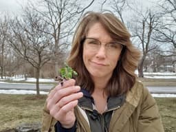 The Secret To Perfect Germination (Part 3 of 3) Protect Seedlings from Root Rot & Early Stress 🛡️🌿