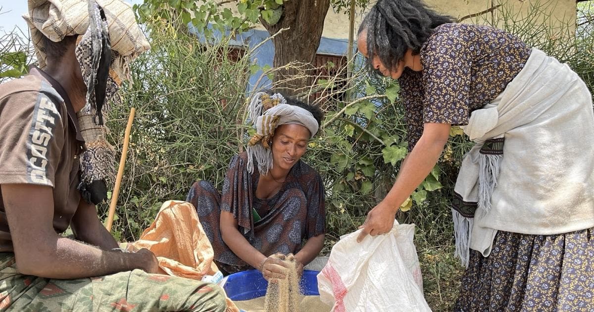 ICRC provides seeds and fertilizers to 132000 people