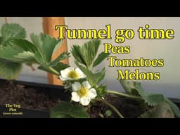 Hiding in the tunnel