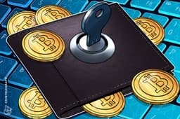 Thousands of crypto wallets at risk from ‘Ill Bloom’ vulnerability: Coinspect