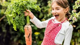 Start Growing a Fall Harvest This Week - Sustainable Practice