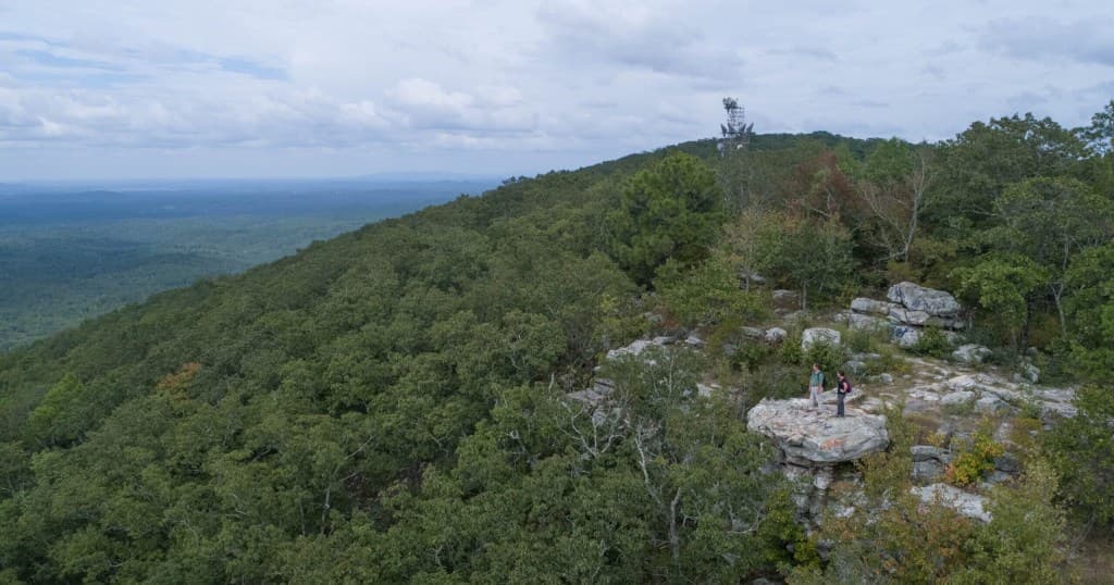 New 1,400+ acre Talladega National Forest addition protects wildlife + scenic views