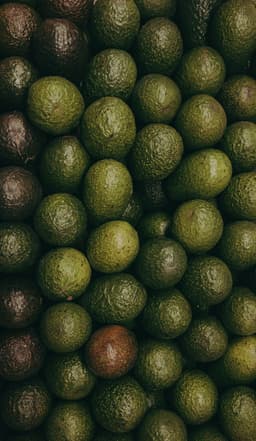 Scope 3 Emissions in Food Supply Chains: A Practical Guide