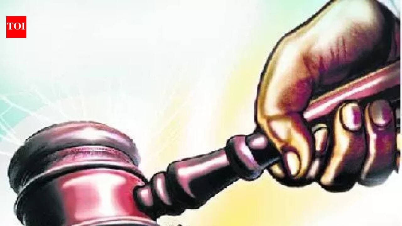 CCTV shows ‘merciless’ attack: Delhi court convicts man in 2022 Nangloi killing | Delhi News - The Times of India