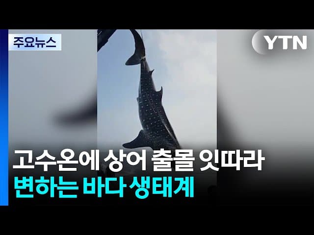 Global shark attack spike; WA spearfisher cluster; El Niño warnings; new incidents worldwide