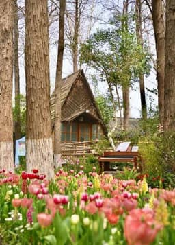 上海这些“莫奈花园”上线！美到自带滤镜_搜狐网