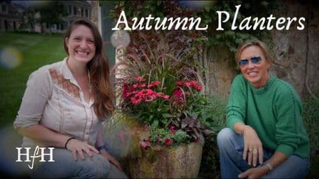 How to Refresh Summer Pots into Stunning Fall Planters